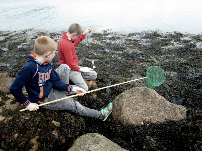 Crabbing1