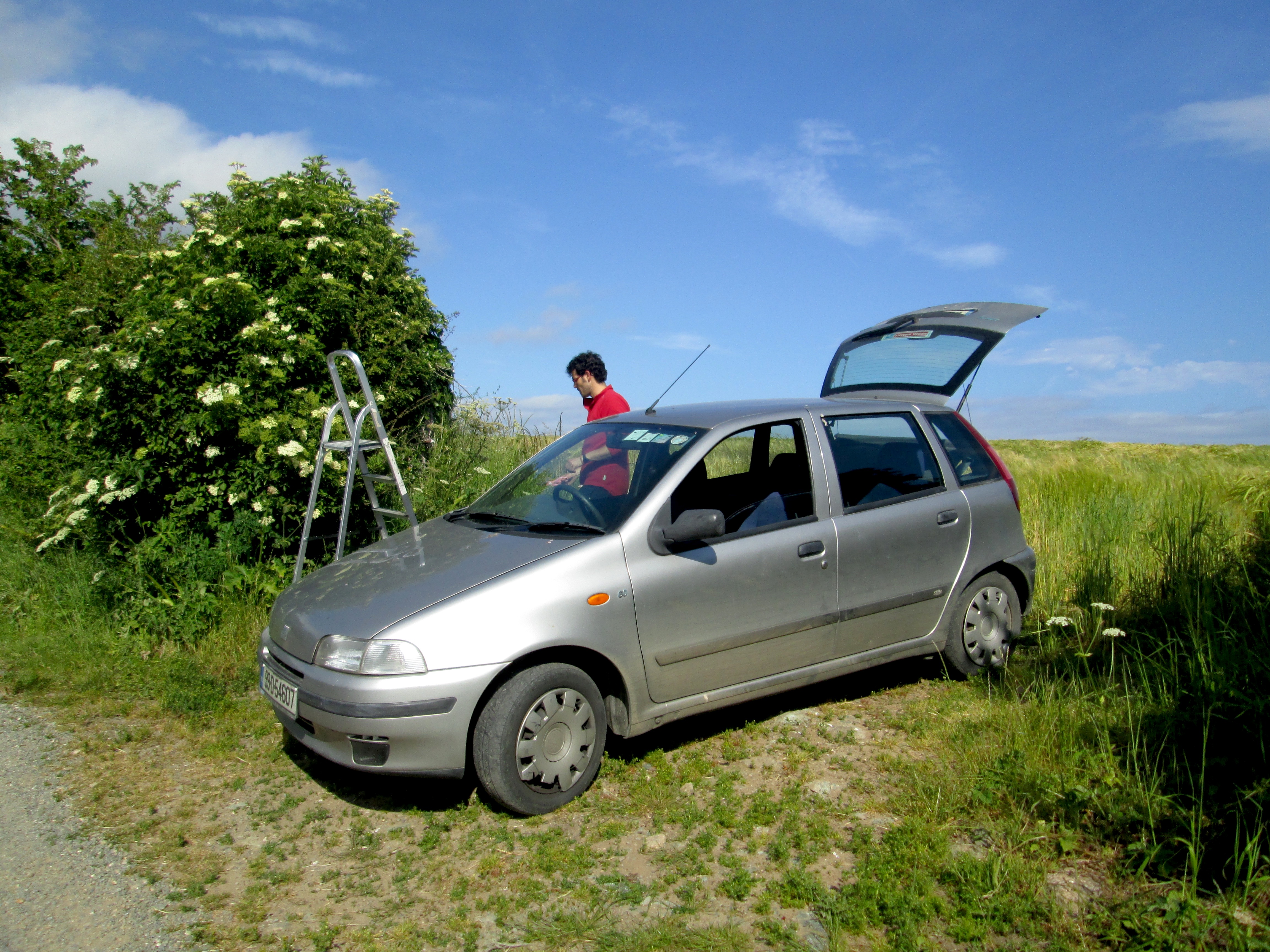 We found a spot on the back road that was bursting with Elderflower!!