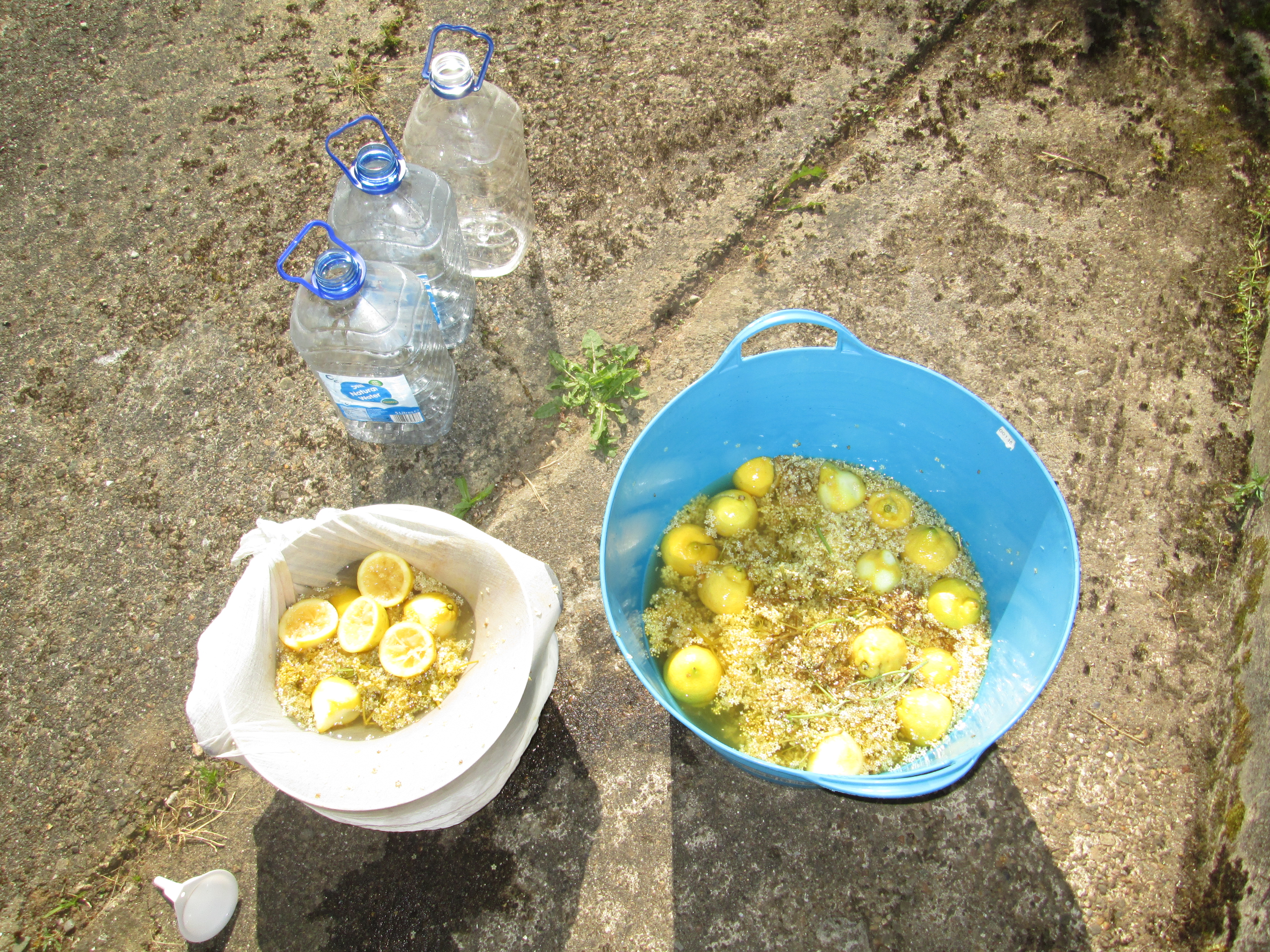 Getting the Elderflower cordial in the bottle