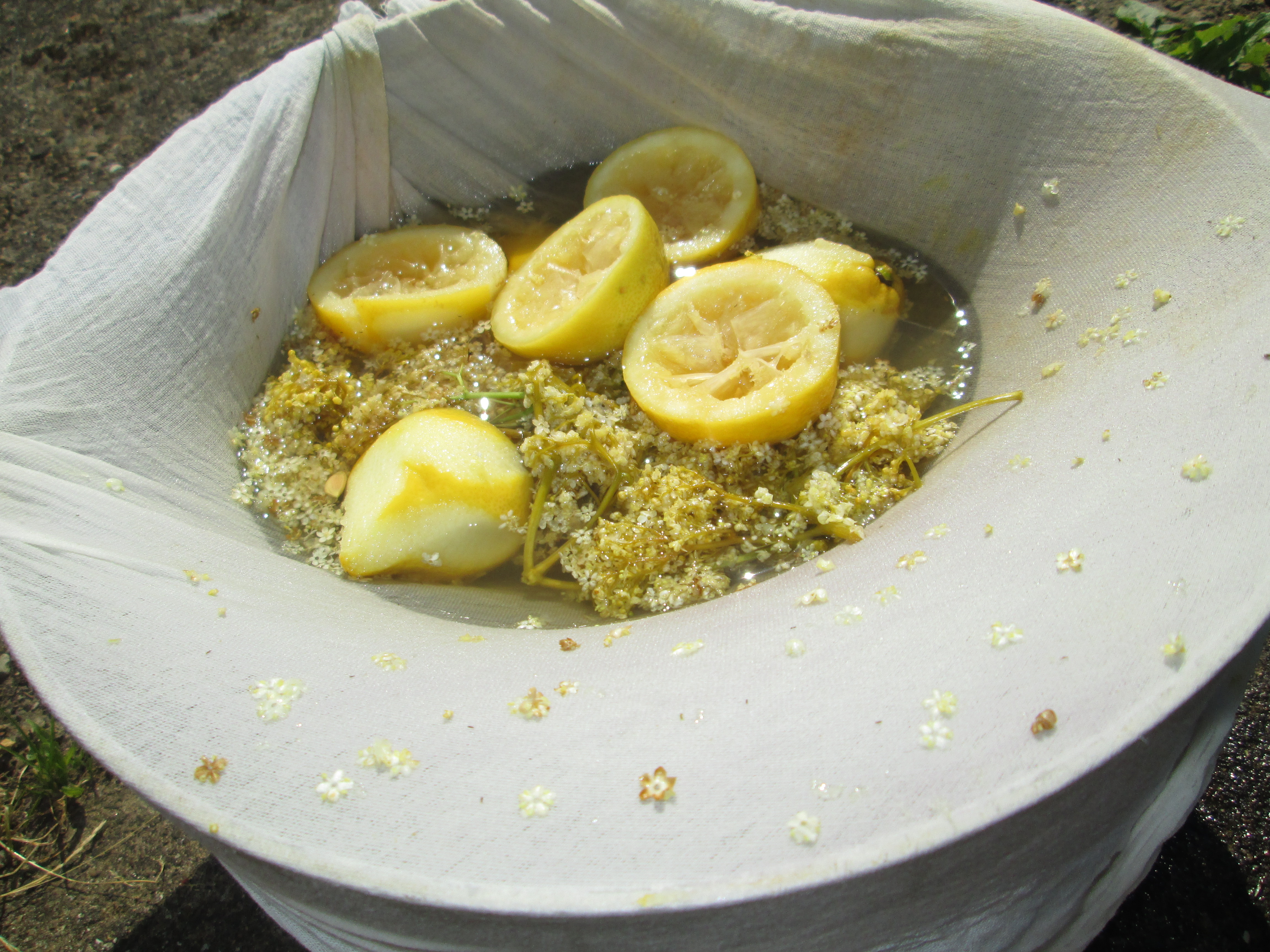 Straining the Elderflower concoction.