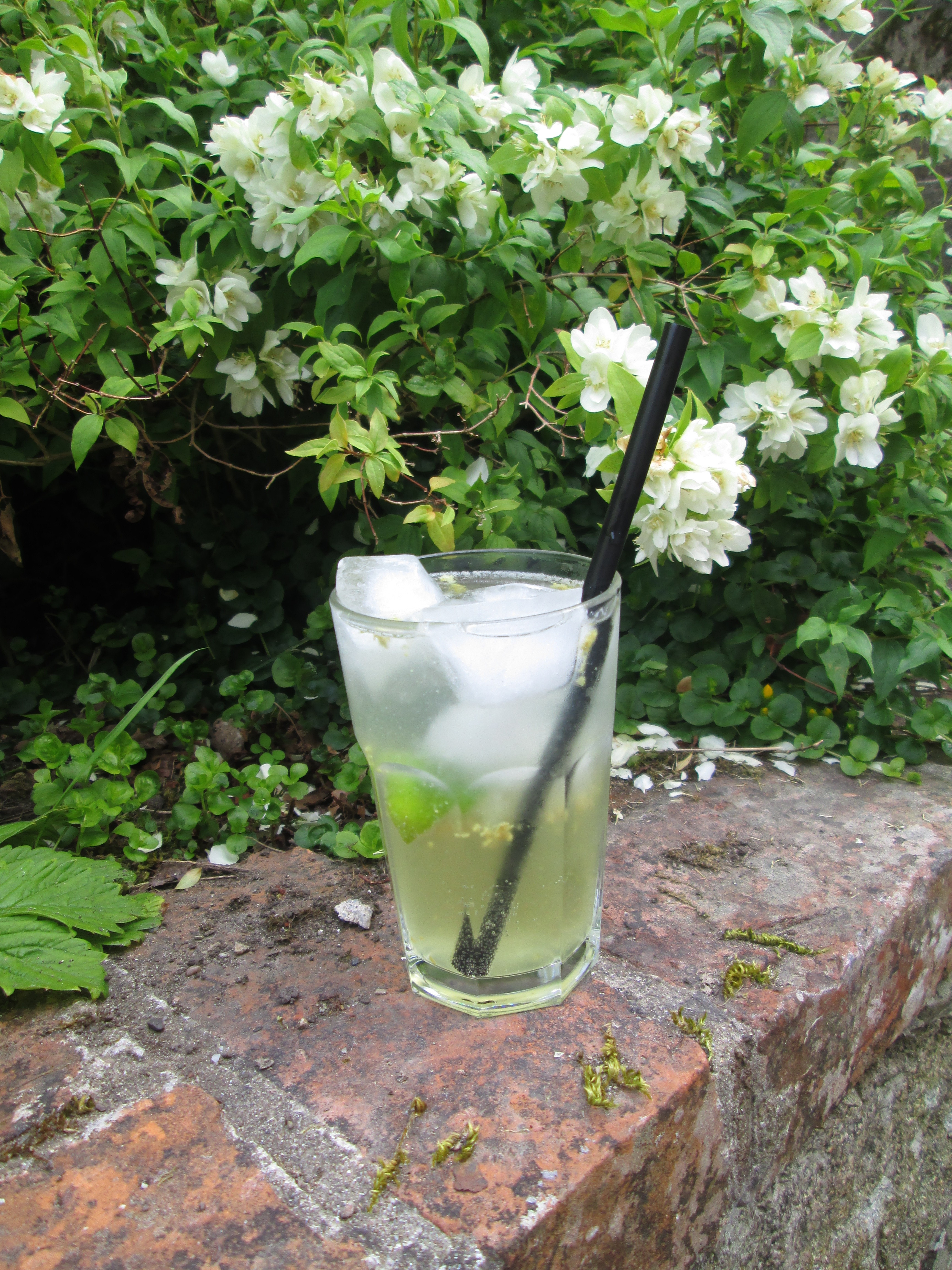 Gin and Elderflower- yumm!
