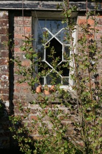 Cottage Window