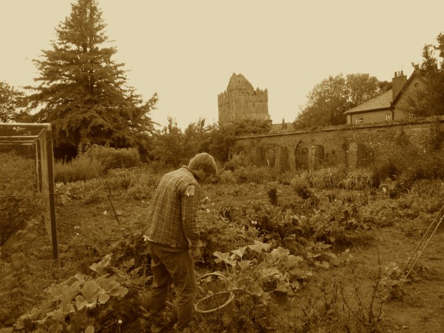 Jonathan selecting Veg for Supper