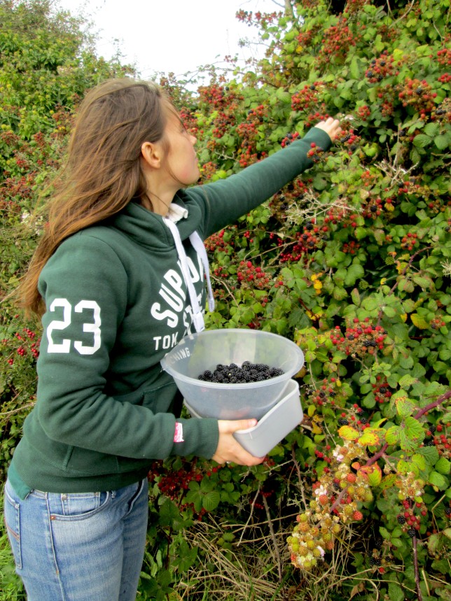 Blackberry picking as well as searching for hidden Sloes...