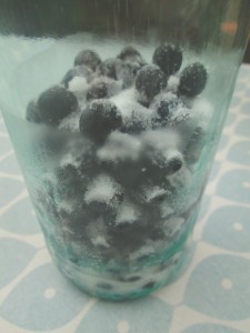 Sugar coated sloes!