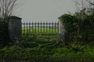 Farm Gate