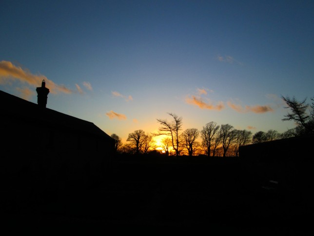 Sunset from Herb Garden