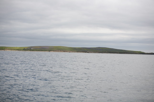 Saltee Island