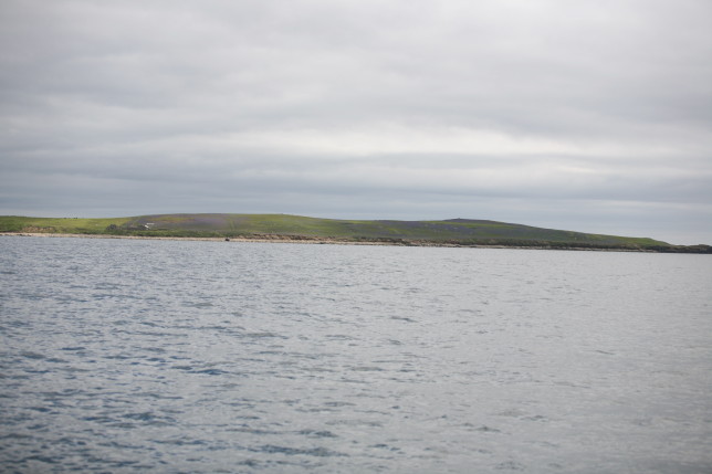 Saltee Island