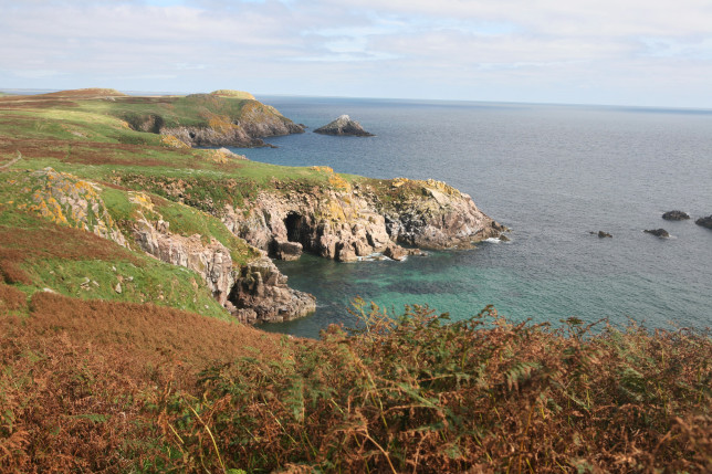 The Saltee Island was a paradise for my Grandad and I shall always think of him when I revisit this captivating place. 